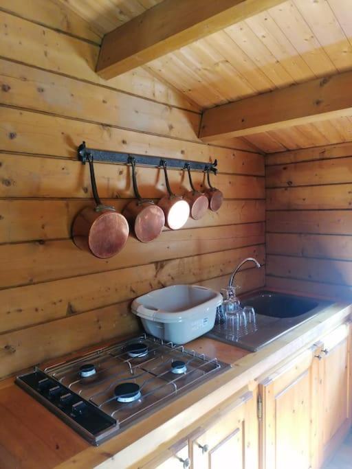 Chalet En Pleine Nature Au Bord D'Un Etang Lanvallay Exterior foto